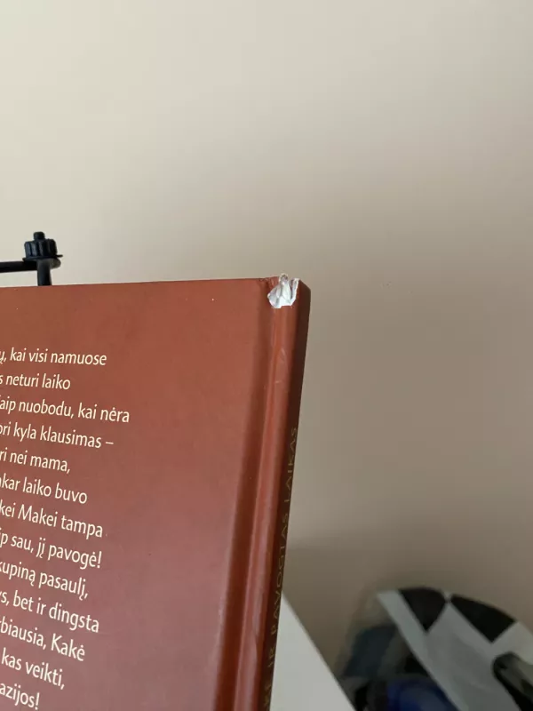 Kakė Makė ir pavogtas laikas - Lina Žutautė, knyga 4