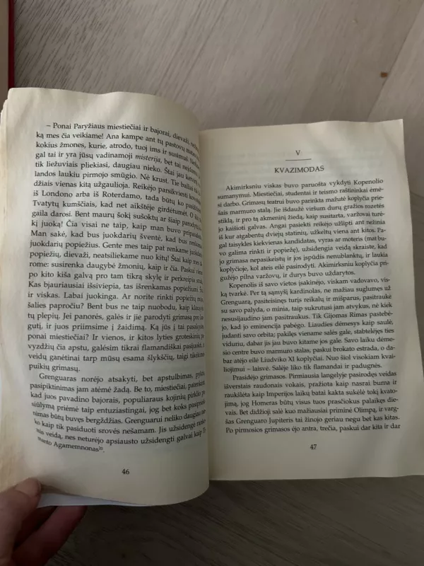 Paryžiaus katedra - Victor Hugo, knyga 4