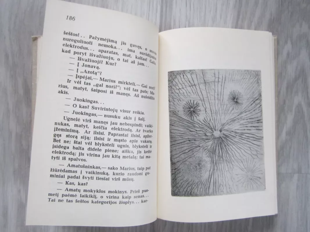 Kauno romanas - Alfonsas Bieliauskas, knyga 5