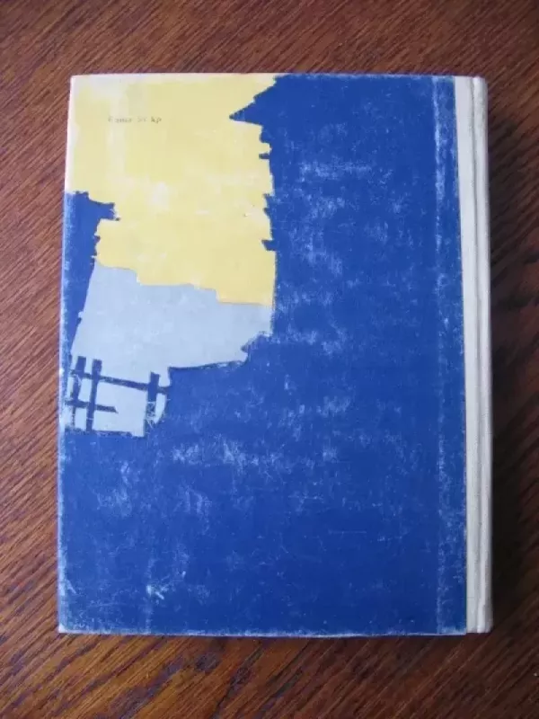 Sąšlavynas - Karolina Marija De Žezus , knyga 4