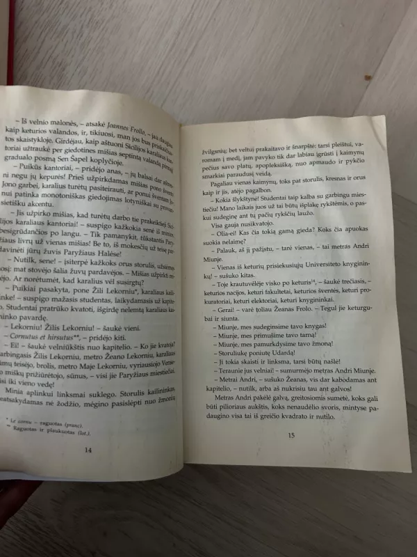 Paryžiaus katedra - Victor Hugo, knyga 3