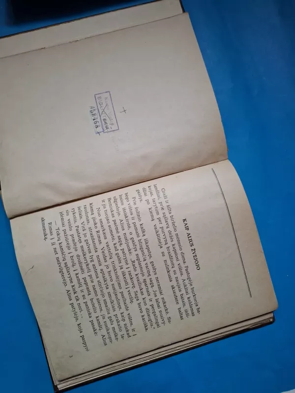 Auksarankė - K. Marukas, knyga 4