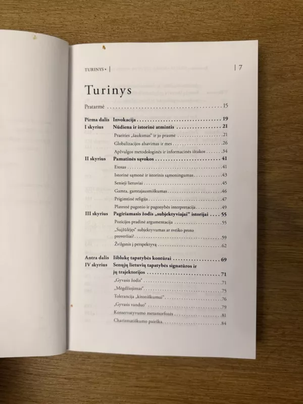 Senieji lietuviai: tapatybės bruožai ir jų likimas - Romualdas Grigas, knyga 4