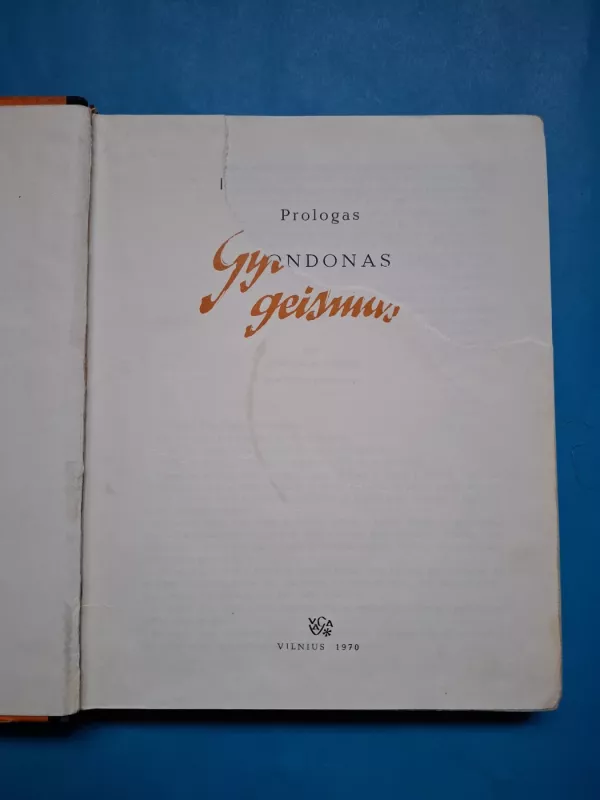 Gyvenimo geismas - Irvingas Stounas, knyga 3