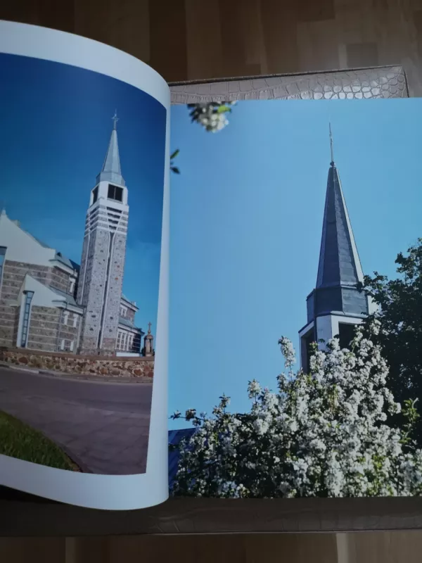 Raseinių kraštas - Autorių Kolektyvas, knyga 5