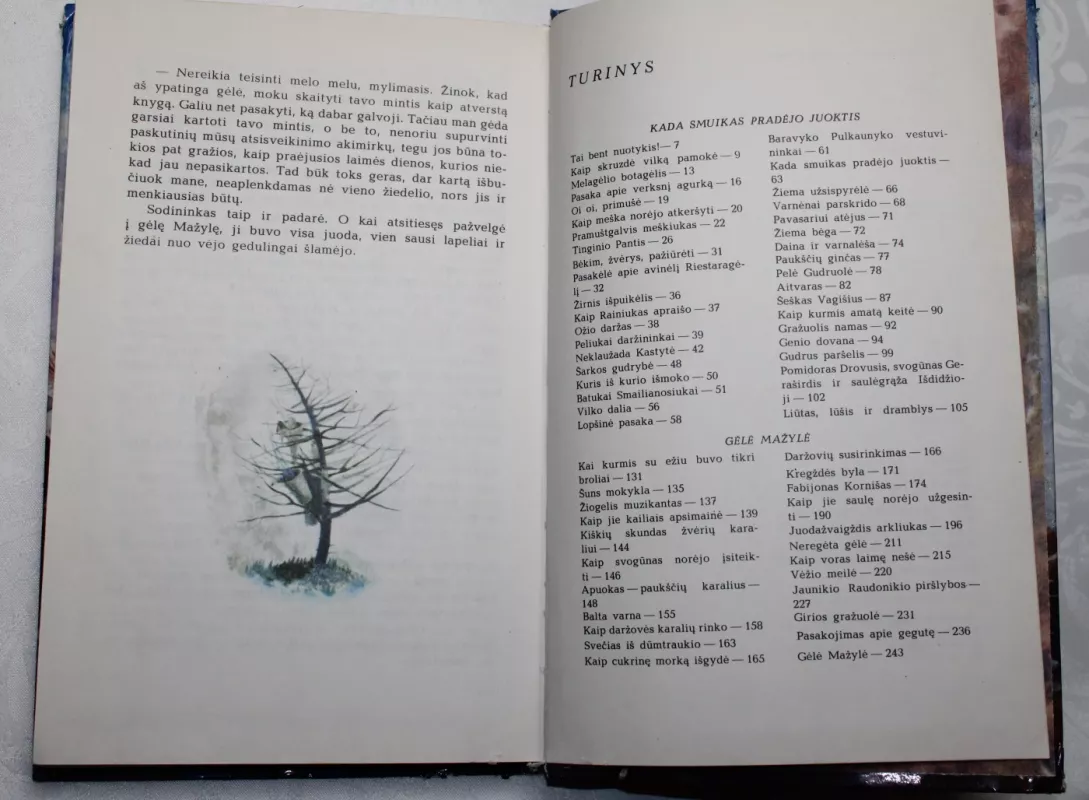 Juodažvaigždis arkliukas - Jonas Avyžius, knyga 4