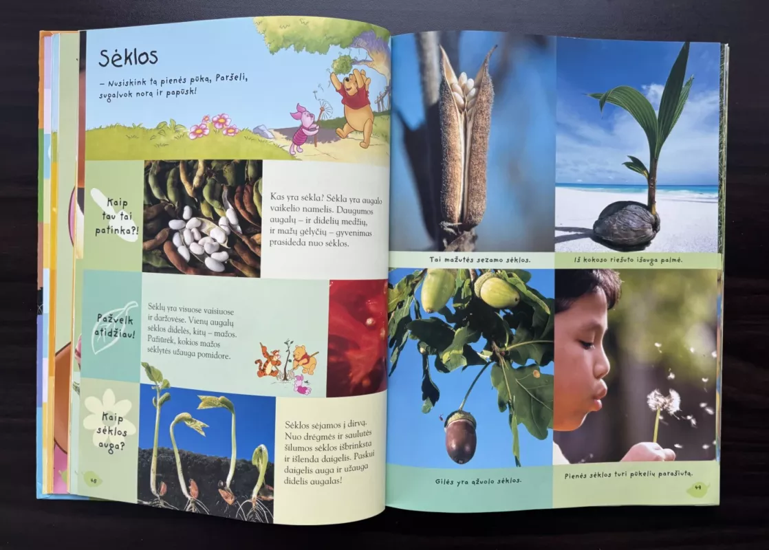 Mikės Pukuotuko enciklopedija. Gamta - Walt Disney, knyga 4