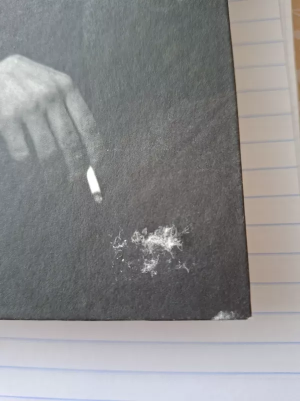 Užrašų knygelės. [T.] 3, 1951 m. kovas - 1959 m. gruodis - Albert Camus, knyga 3