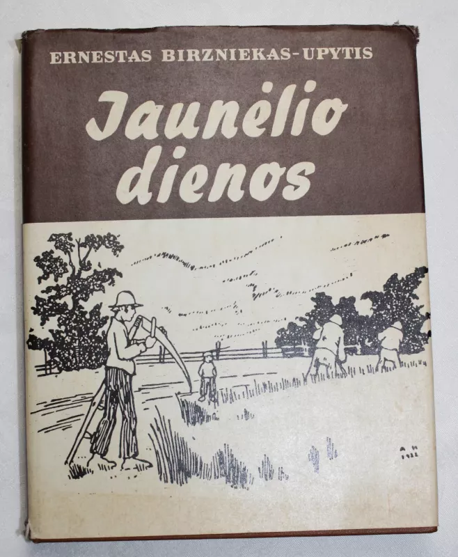 Ernestas Birzniekas-Upytis - Jaunėlio dienos, knyga 2