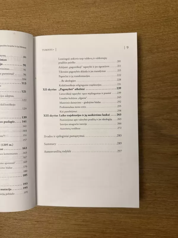 Senieji lietuviai: tapatybės bruožai ir jų likimas - Romualdas Grigas, knyga 6