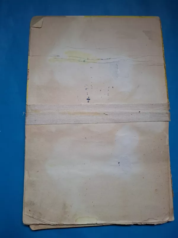 Auksarankė - K. Marukas, knyga 5