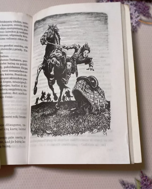 Mėlynojo varno paslaptis - Skomantas, knyga 4