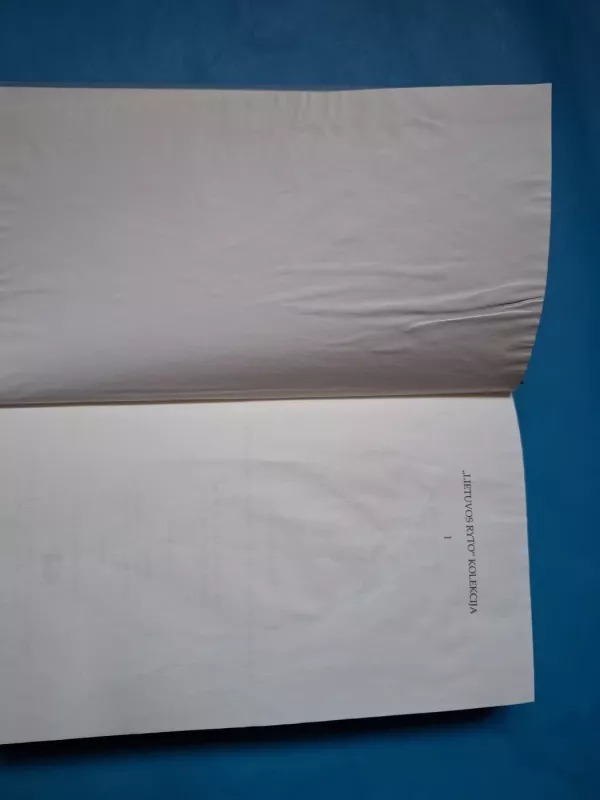 Dievų miškas. „Lietuvos ryto“ kolekcija - Balys Sruoga, knyga 4