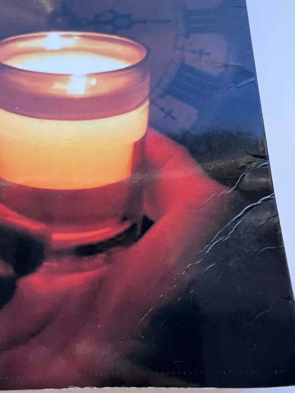 Praėjusių gyvenimų paslaptys - Sylvia Browne, knyga 4