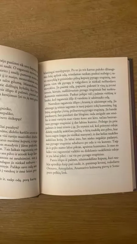 Kaip drugelis treptelėjo koja - Rudyard Kipling, knyga 4