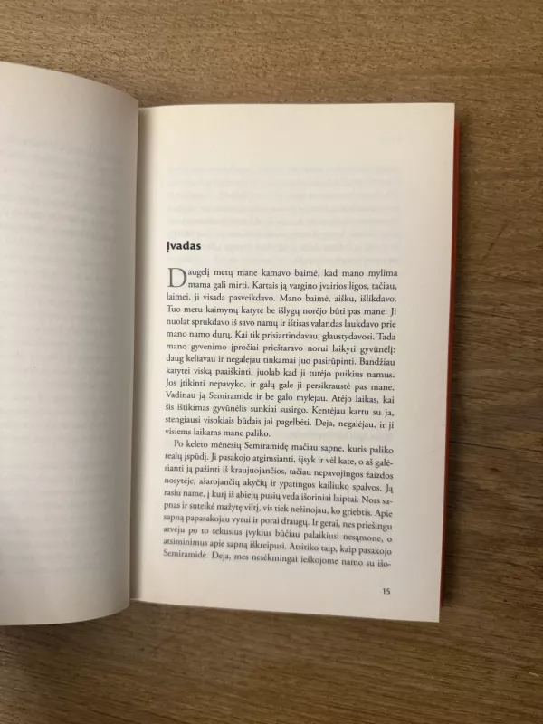 Kas aš buvau ankstesniame gyvenime? - Ursula Demarmels, knyga 6