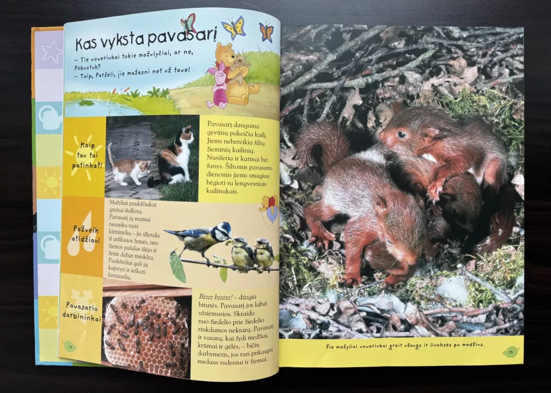 Mikės Pukuotuko enciklopedija. Gamta - Walt Disney, knyga 3