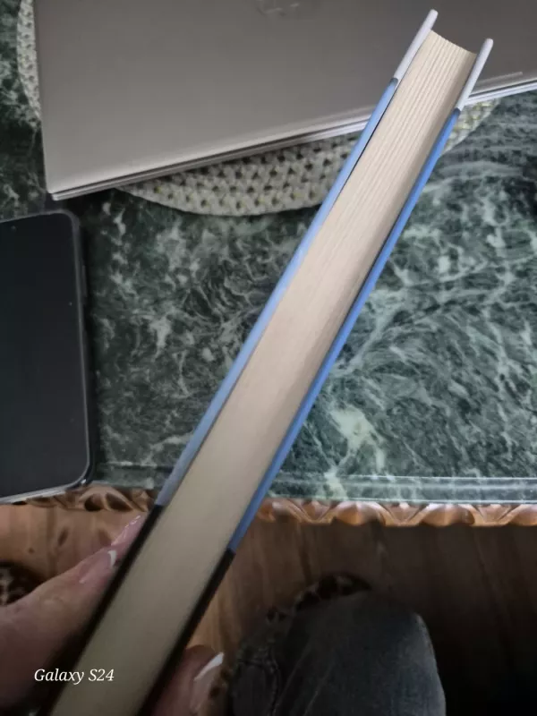 Blogos mergaitės dienoraštis - Kristina Gudonytė, knyga 4