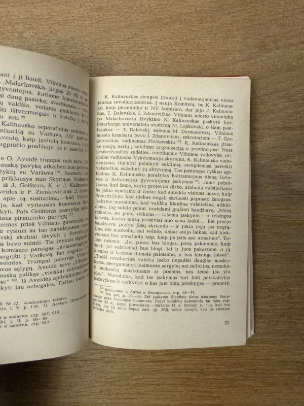 Lietuvos sukilėlių kovos 1863-1864 m. - Ona Maksimaitienė, knyga 5