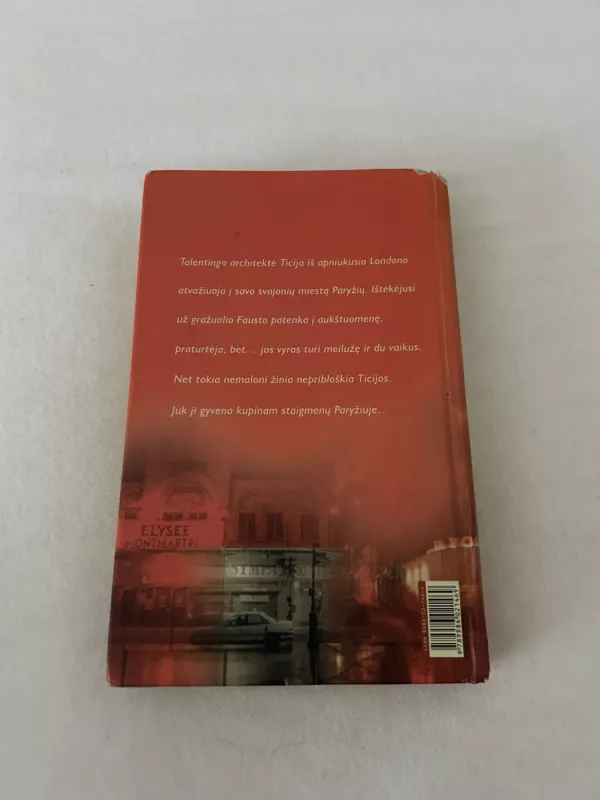 Šiandien Madam pareis vėliau - Susanna Kubelka, knyga 4