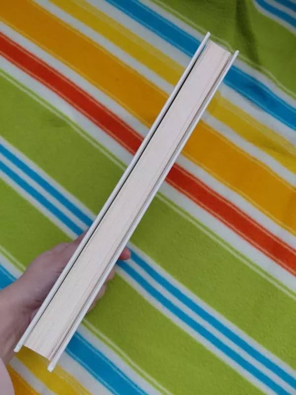 Diena kai išmokau gyventi - Laurent Gounelle, knyga 4