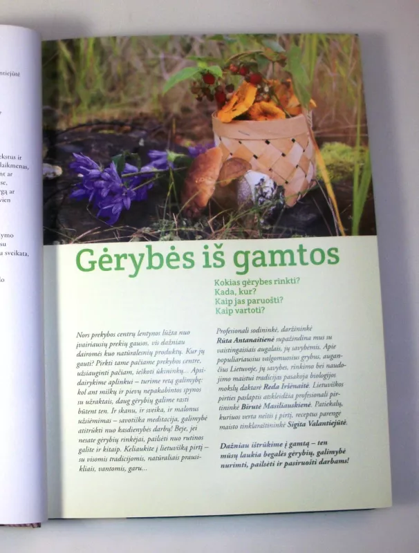 Gėrybės iš gamtos - Autorių Kolektyvas, knyga 6