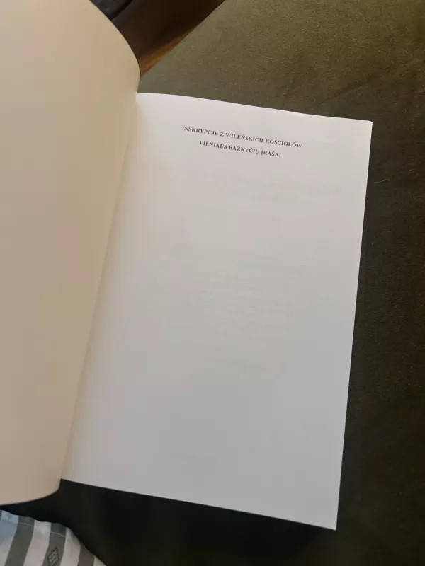 Vilniaus bažnyčių įrašai I - Wl. Appela, E. Ulčinaitė, knyga 4