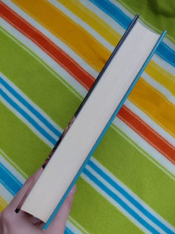 Nuodėmių žiema - Lisa Kleypas, knyga 4