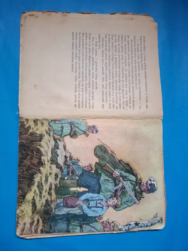 Auksarankė - K. Marukas, knyga 4