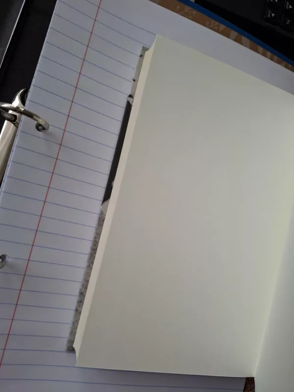 Maras - Albert Camus, knyga 5