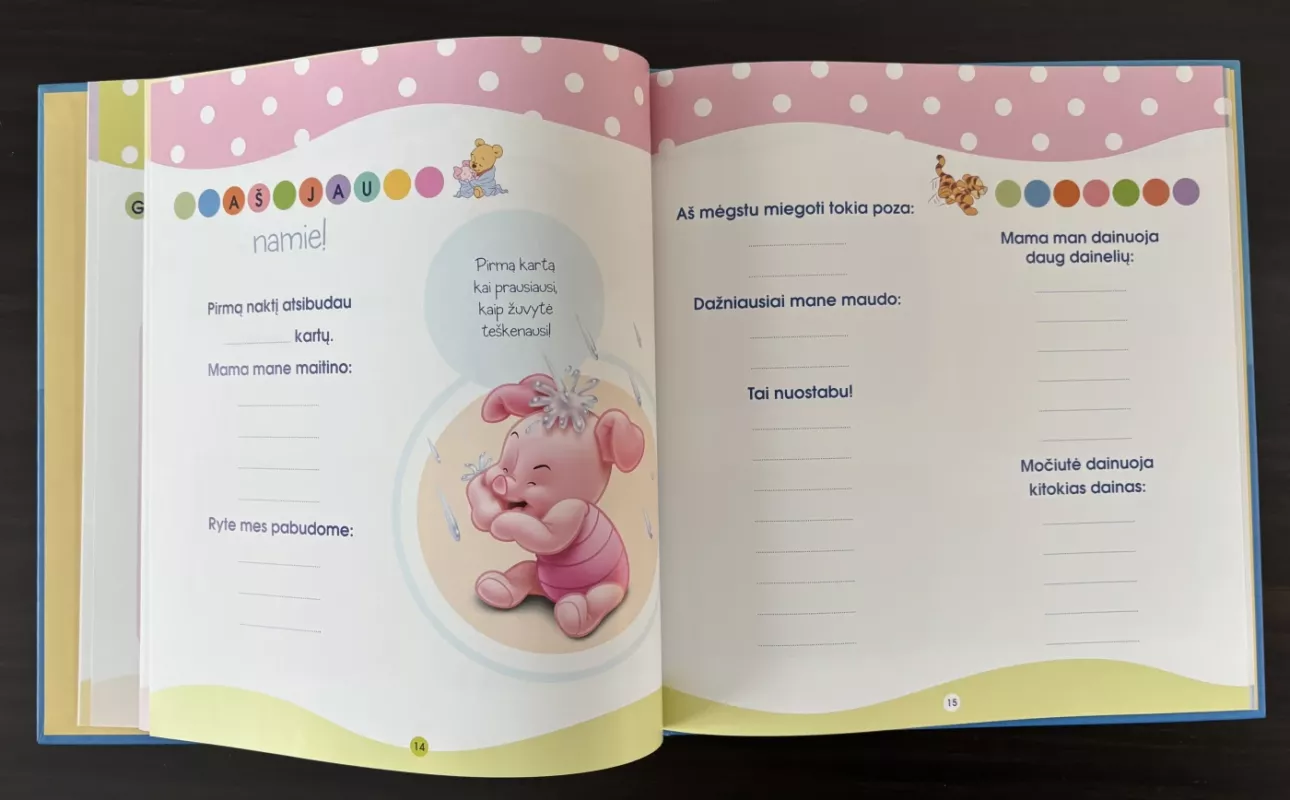 Didelė mažo vaikelio knyga - Walt Disney, knyga 6