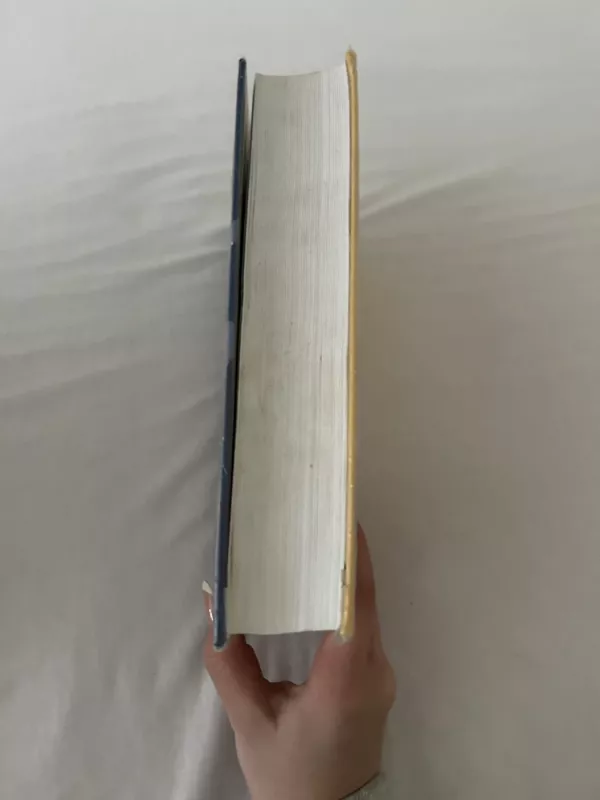 anglų-lietuvių kalbų žodynas - Bronius Svecevičius, knyga 2