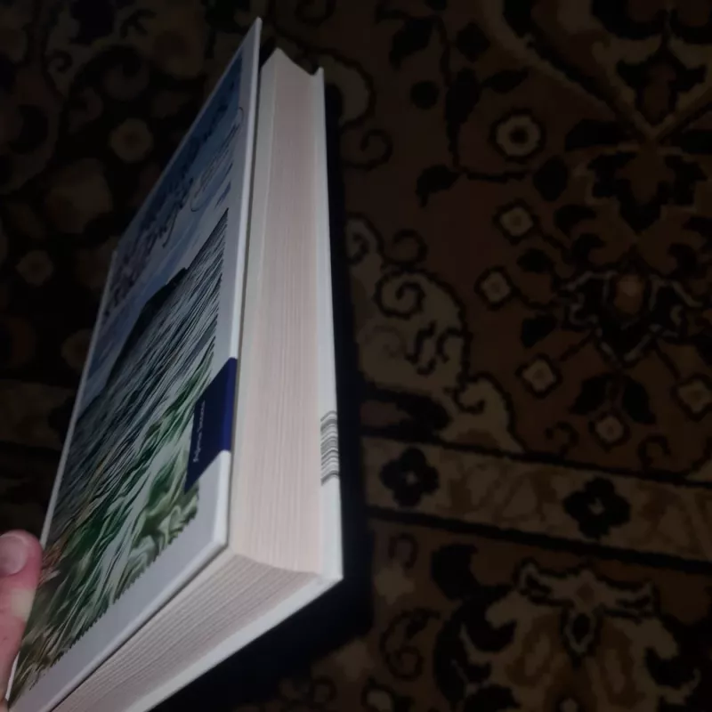 Dvi undinės stiklinėje - Federica Brunini, knyga 3