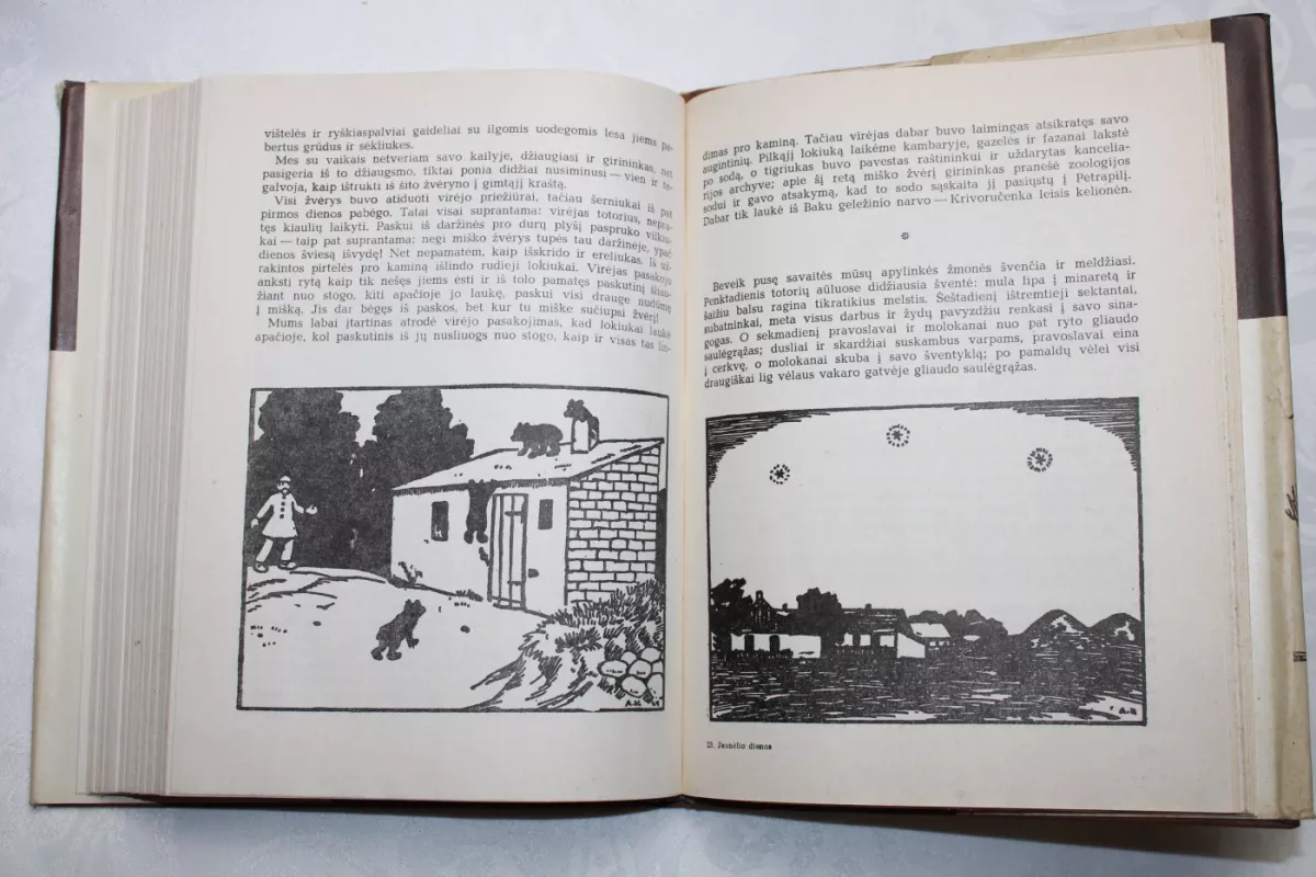 Ernestas Birzniekas-Upytis - Jaunėlio dienos, knyga 4