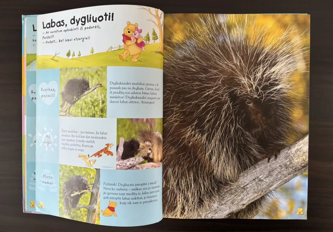 Mikės Pukuotuko enciklopedija. Gyvūnai. - Walt Disney, knyga 4