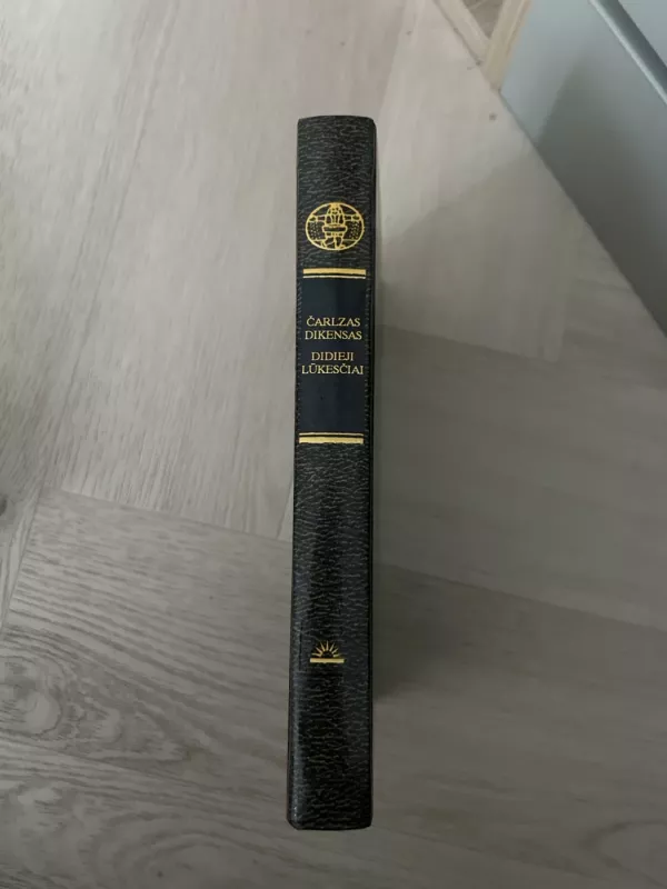 Didieji lūkesčiai - Charles Dickens, knyga 3