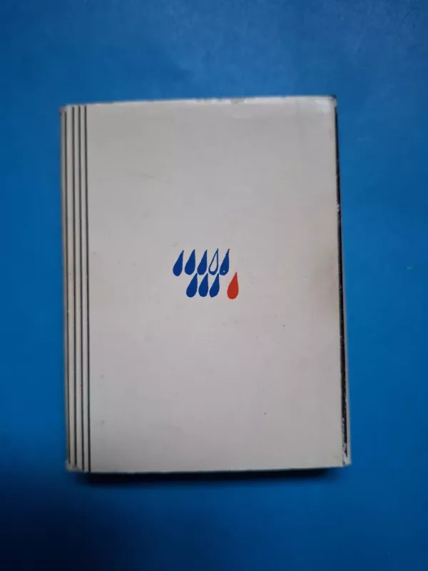 Kalnų ilgesys - Kostas Kubilinskas, knyga 6