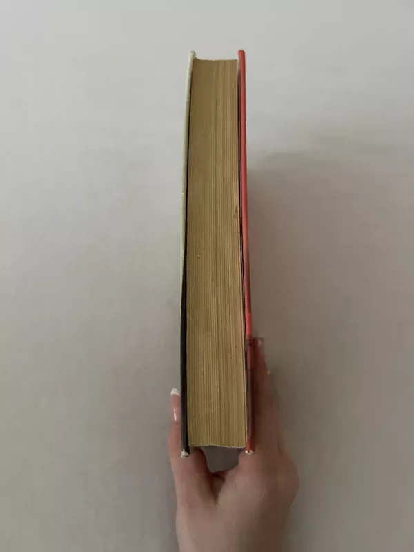 Šiandien Madam pareis vėliau - Susanna Kubelka, knyga 2