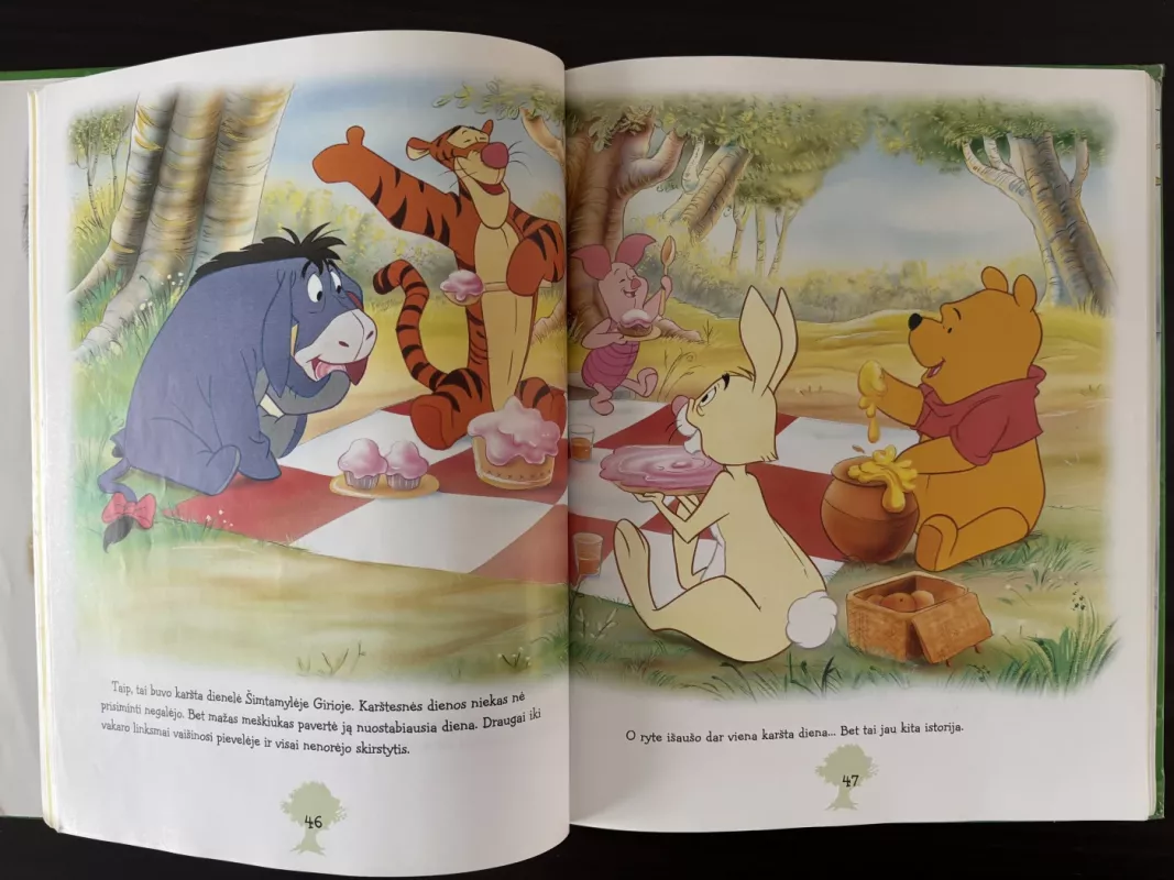 Metų laikai su Mikė Pūkuotuku - Walt Disney, knyga 6