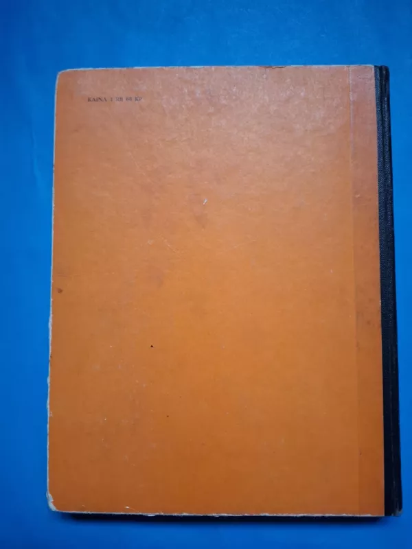 Gyvenimo geismas - Irvingas Stounas, knyga 6