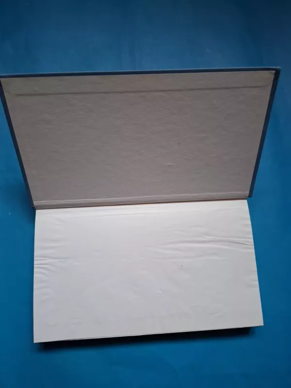 Dievų miškas. „Lietuvos ryto“ kolekcija - Balys Sruoga, knyga 3