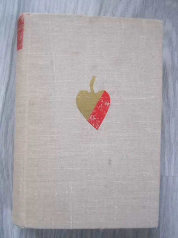 Kauno romanas - Alfonsas Bieliauskas, knyga 2