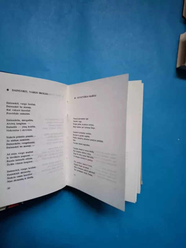 Kalnų ilgesys - Kostas Kubilinskas, knyga 5