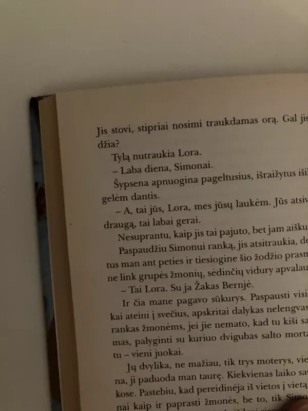 Akloji meilė - Patrick Cauvin, knyga 4