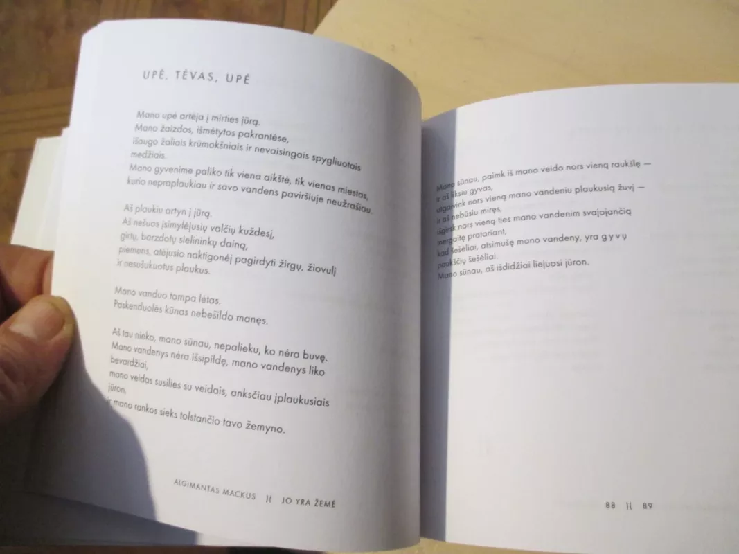 Žemės prarastis - Algimantas Mackus, knyga 6