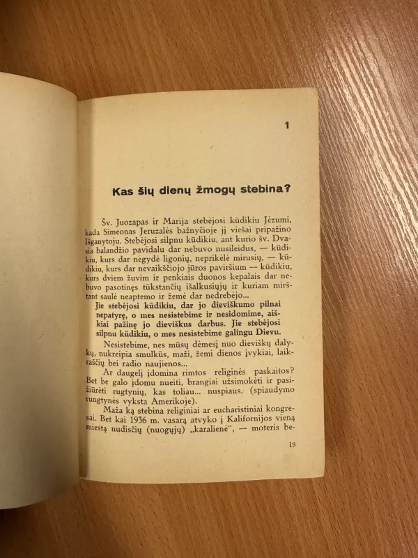 Neapdraustos sielos - N. Skurkis, knyga 5