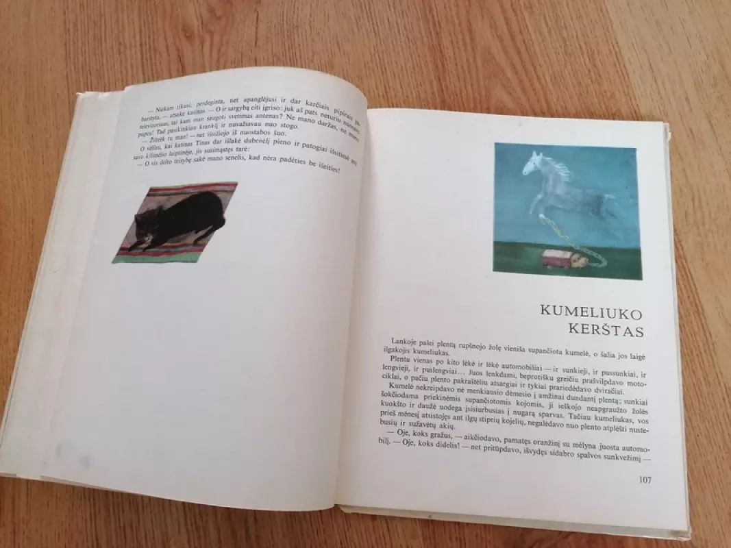 Robotas ir peteliškė - Vytautė Žilinskaitė, knyga 4