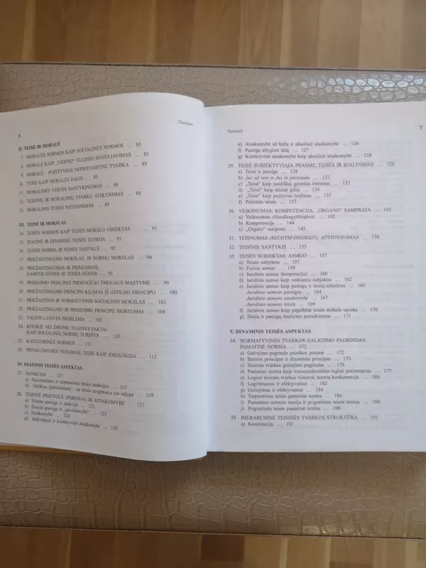 Grynoji teisės teorija - Hans Kelsen, knyga 6