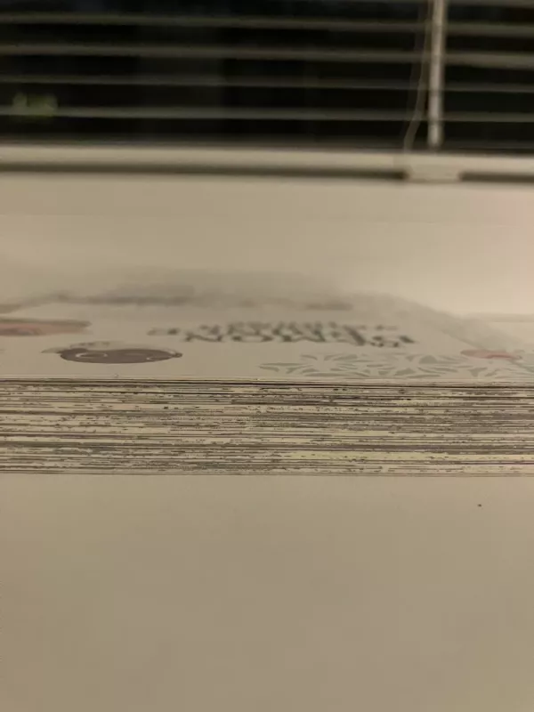 The Demon Prince of Momochi House - Aya Shouoto, knyga 4