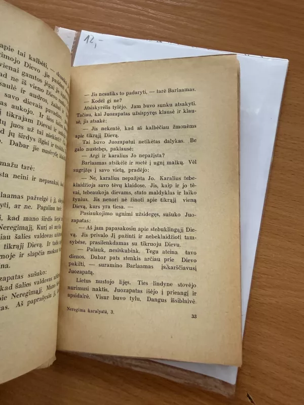 Neregima karalystė - Marga Thomė, knyga 5